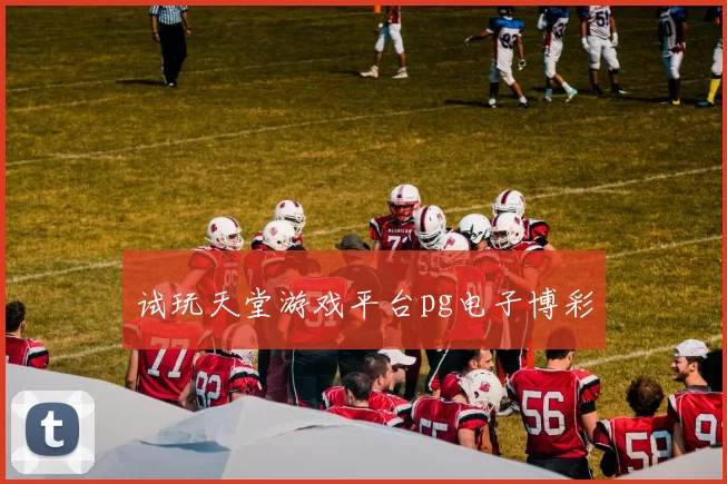 试玩天堂游戏平台pg电子博彩