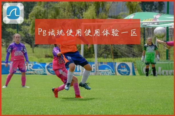 Pg试玩使用使用体验一区