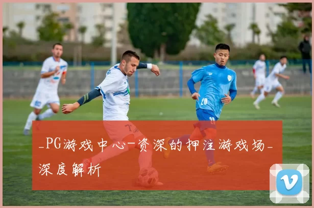 _PG游戏中心-资深的押注游戏场_ 深度解析