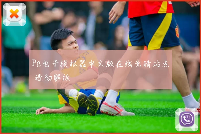 Pg电子模拟器中文版在线竞猜站点 透彻解读
