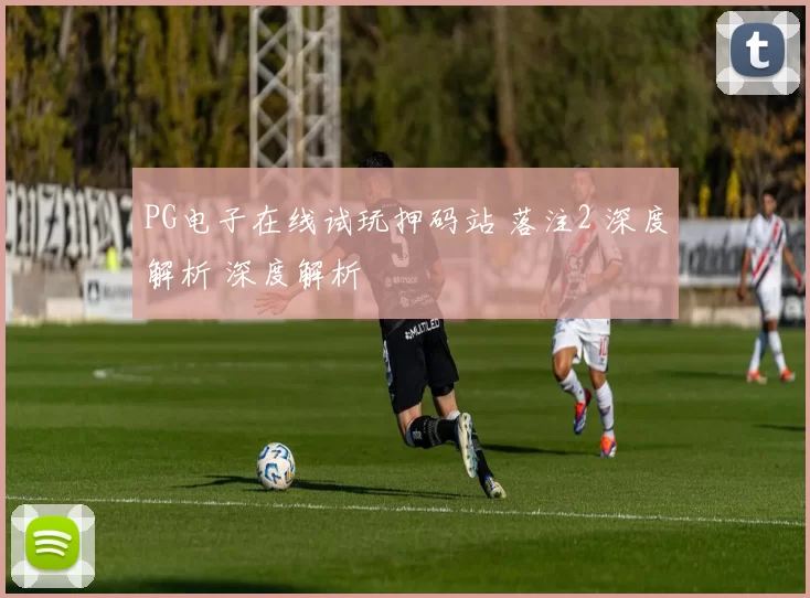 PG电子在线试玩押码站 落注2 深度解析 深度解析