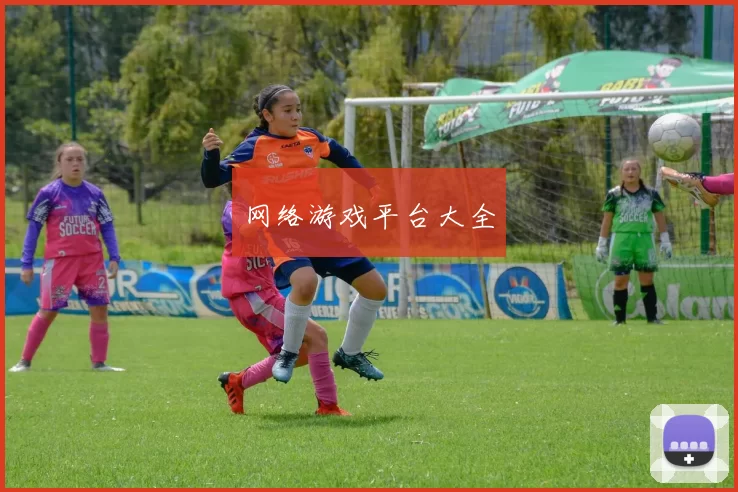 网络游戏平台大全