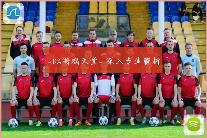_pg游戏天堂_ 深入专业解析