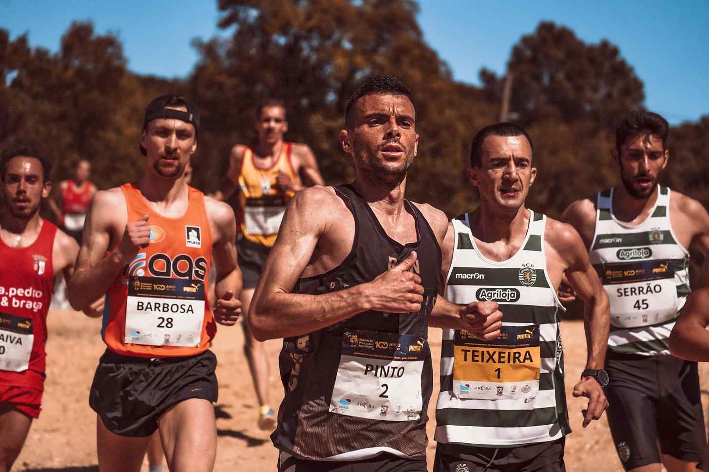 _pg电子模拟器安装应用站点_ 全方位解读 详细趋势分析